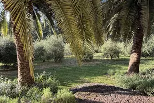 16875 Coleman Valley Rd, Occidental, CA 95465 - Photo 7