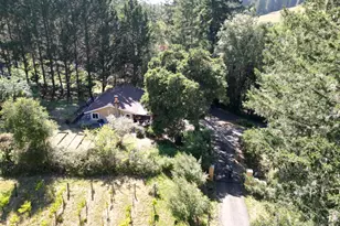16875 Coleman Valley Rd, Occidental, CA 95465 - Photo 77