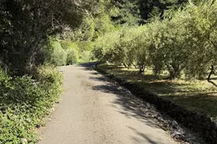 16875 Coleman Valley Rd, Occidental, CA 95465 - Photo 67