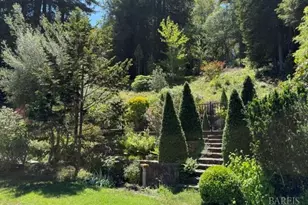 16875 Coleman Valley Rd, Occidental, CA 95465 - Photo 57