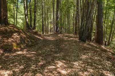 33790 Annapolis Road, Annapolis, CA 95412 - Photo 5