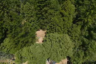 33790 Annapolis Rd, Annapolis, CA 95412 - Photo 39