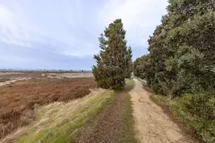 1730 Milton Rd, Napa, CA 94559 - Photo 67