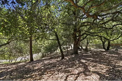 310 Crest Road, Novato, CA 94945 - Photo 37