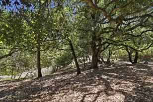 310 Crest Rd, Novato, CA 94945 - Photo 37