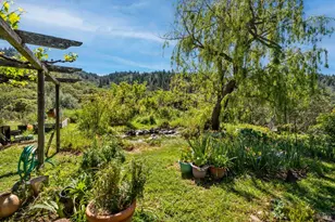 3751 Low Gap Rd, Ukiah, CA 95482 - Photo 17