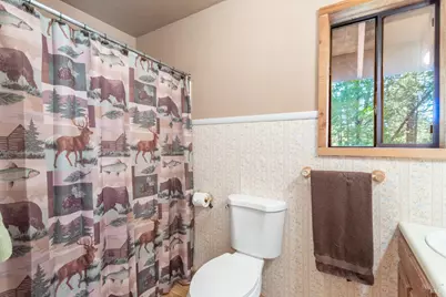 35193 Eagle Lane, Shingletown, CA 96088 - Photo 17