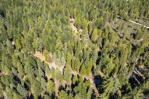 35193 Eagle Ln, Shingletown, CA 96088 - Photo 33