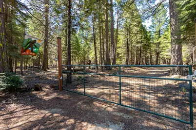 35193 Eagle Lane, Shingletown, CA 96088 - Photo 29