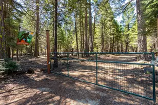 35193 Eagle Ln, Shingletown, CA 96088 - Photo 29