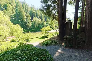 17239 Verba Ln, Guerneville, CA 95446 - Photo 21