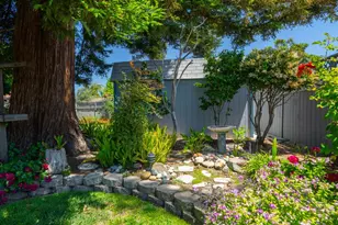 36862 Walnut St, Newark, CA 94560 - Photo 37