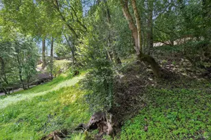 29 Lower Alcatraz Pl, Mill Valley, CA 94941 - Photo 13