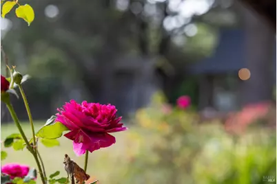 450 Cedar Road, Bolinas, CA 94924 - Photo 67