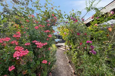 450 Cedar Road, Bolinas, CA 94924 - Photo 81