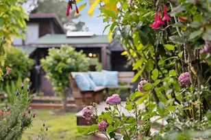 450 Cedar Rd, Bolinas, CA 94924 - Photo 83