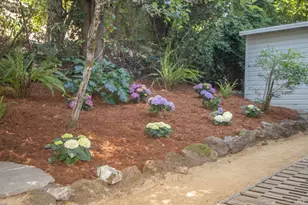 101 Bolinas Ave, Ross, CA 94957 - Photo 39