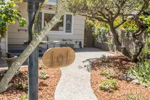 101 Bolinas Ave, Ross, CA 94957 - Photo 47