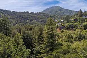 334 Madrone Ave, Larkspur, CA 94939 - Photo 41
