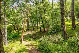 6435 Dry Creek Rd, Napa, CA 94558 - Photo 27