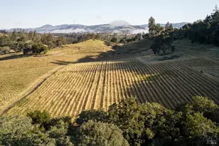 13414 Chalk Hill Rd, Healdsburg, CA 95448 - Photo 97