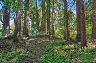 189 Wagnon Rd, Sebastopol, CA 95472 - Photo 55