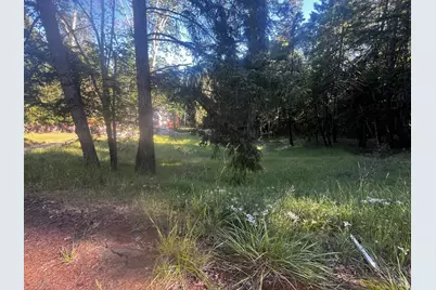 26048 Peacock Road, Willits, CA 95490 - Photo 3