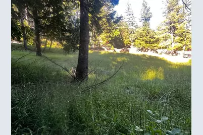 26048 Peacock Road, Willits, CA 95490 - Photo 5