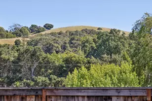 115 Daryl Ave, Novato, CA 94947 - Photo 35