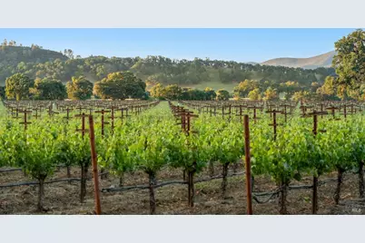 1785 Pope Canyon Road, Saint Helena, CA 94574 - Photo 27