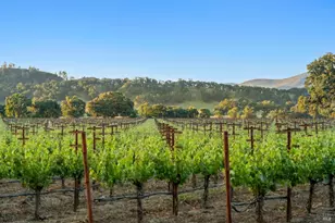 1785 Pope Canyon Rd, Saint Helena, CA 94574 - Photo 27