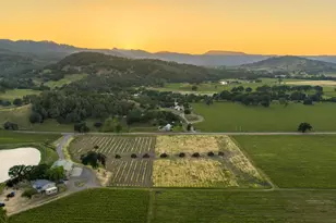 1785 Pope Canyon Rd, Saint Helena, CA 94574 - Photo 29