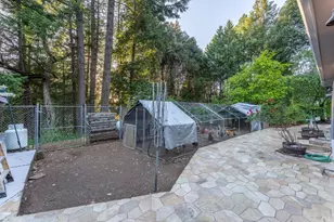 54101 Wildwood Dr, Leggett, CA 95585 - Photo 25