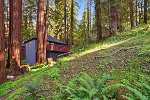 55 Van Ness Ave, Camp Meeker, CA 95419 - Photo 3