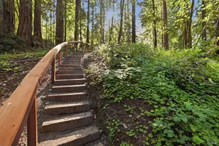 55 Van Ness Ave, Camp Meeker, CA 95419 - Photo 29