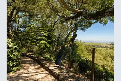 3810 White Alder, Sonoma, CA 95476 - Photo 41