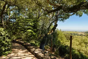 3810 White Alder, Sonoma, CA 95476 - Photo 41