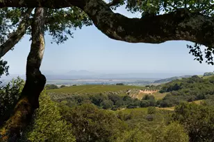 3810 White Alder, Sonoma, CA 95476 - Photo 3