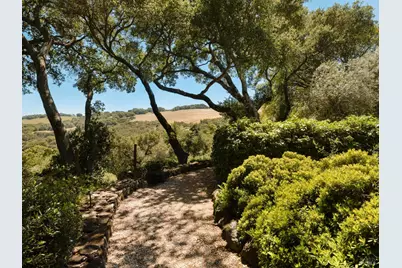3810 White Alder, Sonoma, CA 95476 - Photo 39