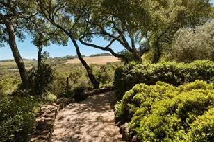 3810 White Alder, Sonoma, CA 95476 - Photo 39