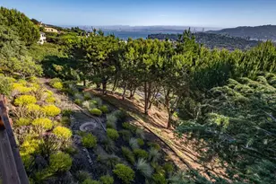23 Venado Dr, Tiburon, CA 94920 - Photo 69