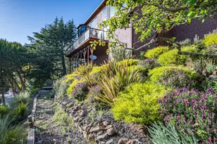 23 Venado Dr, Tiburon, CA 94920 - Photo 65