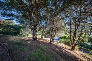 23 Venado Dr, Tiburon, CA 94920 - Photo 67