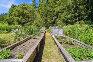 31397 Seaview Rd, Cazadero, CA 95421 - Photo 41