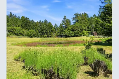 31397 Seaview Road, Cazadero, CA 95421 - Photo 43