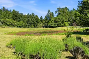 31397 Seaview Rd, Cazadero, CA 95421 - Photo 43