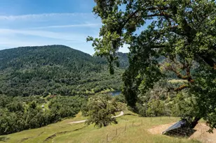 14590 Ridgeview Rd, Willits, CA 95490 - Photo 21