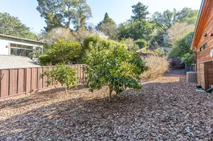 431 Marin Ave, Mill Valley, CA 94941 - Photo 31