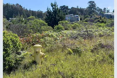 35052 Crows Nest Drive, The Sea Ranch, CA 95497 - Photo 7