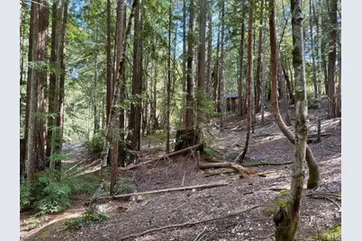 2421 Otter Lane, Willits, CA 95490 - Photo 7